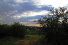 photo_2323