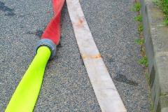 photo_2376