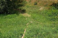 photo_2380