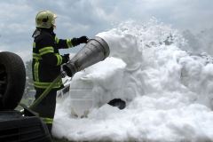 photo_2391
