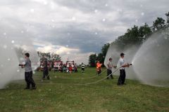 photo_2392