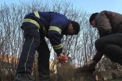 photo_2479