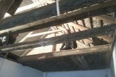 photo_2525