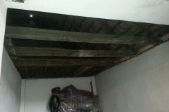 photo_2529