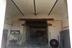 photo_2535