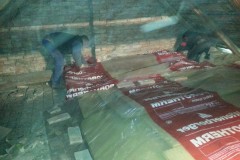 photo_2542