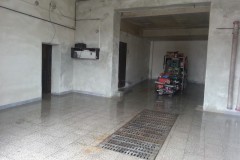 photo_2545