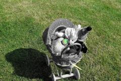 photo_2603