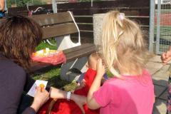 photo_2613
