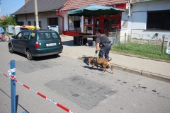 photo_2638