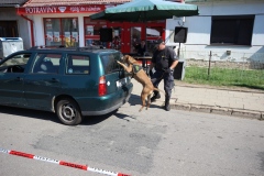 photo_2639