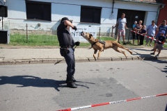 photo_2640