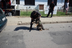 photo_2641