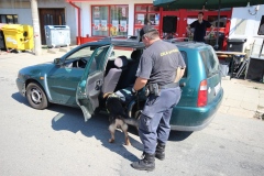 photo_2642