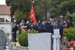 photo_2746