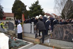 photo_2749