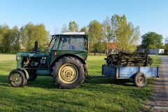 photo_2841