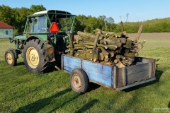 photo_2842