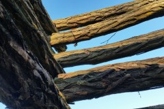 photo_2849