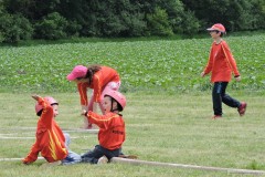 photo_2939