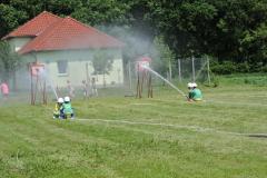 photo_2950