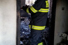 photo_2981