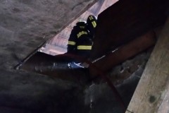 photo_2982