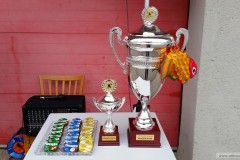 Rok 2016