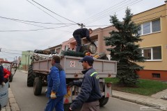 photo_3113