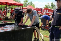 photo_3049