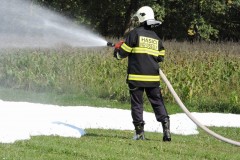 photo_3361