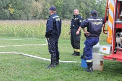 photo_3364