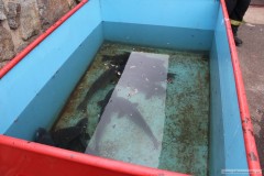photo_3216