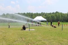 photo_3537