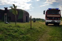 photo_3483