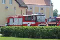 photo_3667