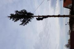 photo_3561