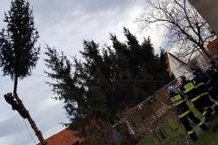photo_3562