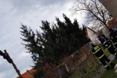 photo_3563