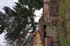 photo_3564