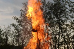 photo_3745