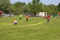 photo_3767