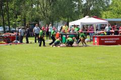 photo_3768