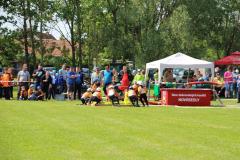 photo_3794