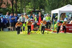 photo_3795