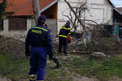 2020-03-14-09.52.10